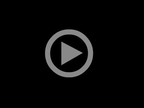 THẢ BÓNG BAY TRONG LỄ KHAI GIẢNG NĂM HỌC 2023 - 2024