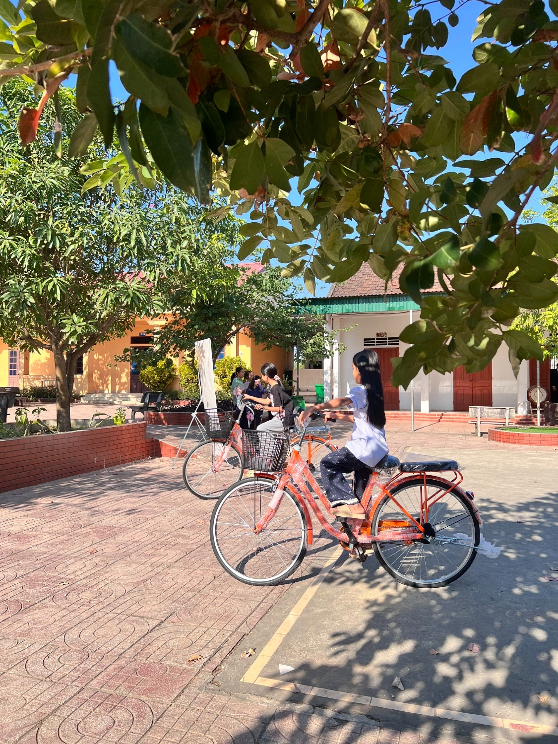 z7277716345558 ca813b900baf386848595e7688136ce7